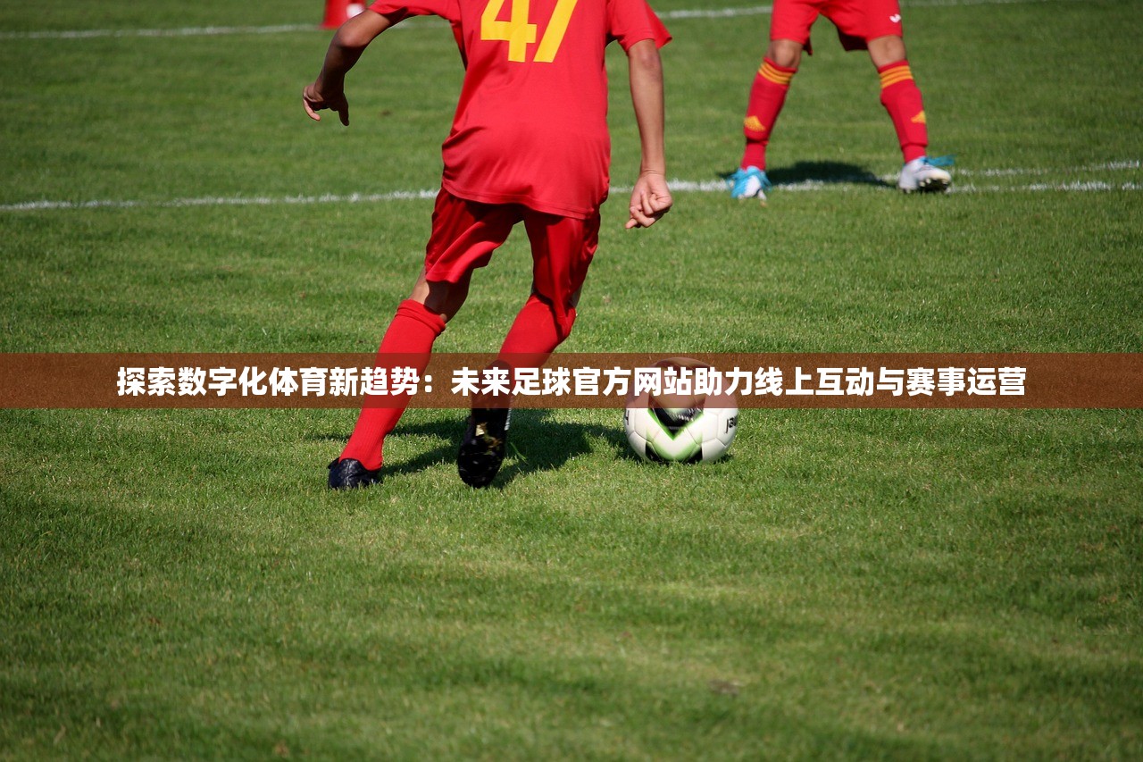 (交错线构成的图)交错战线未和谐图鉴：揭示冲突中的未解之谜