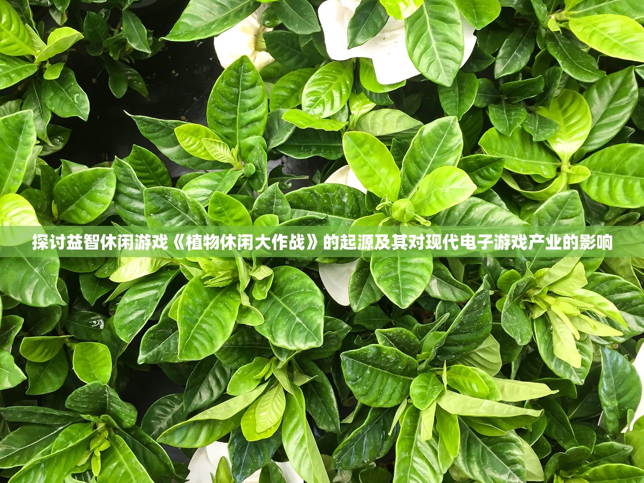(不朽家族官方网站下载)不朽家族官方网站，探索家族荣耀的起点