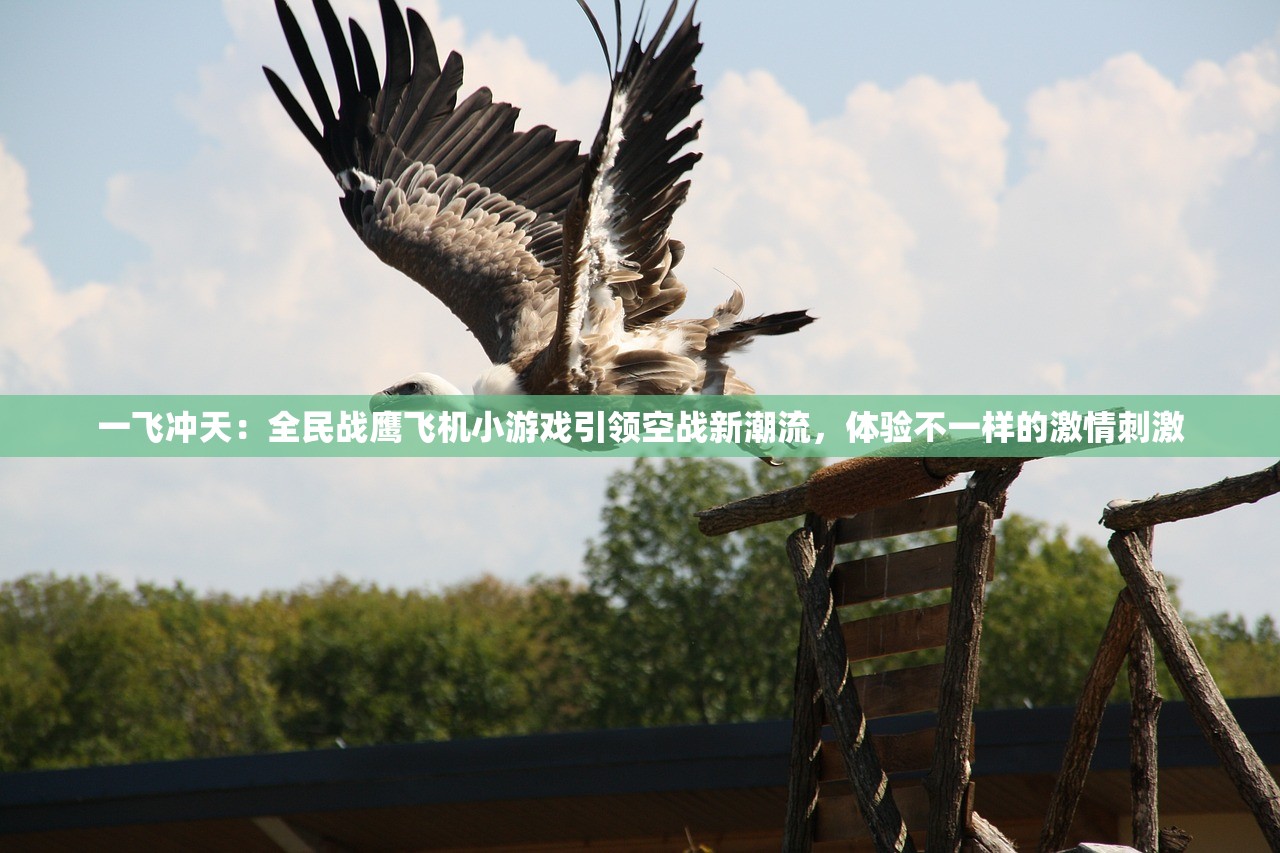 致命追逐纪录片：揭秘中东最致命的狩猎行动，透视猎杀者与猎物之间的生死较量