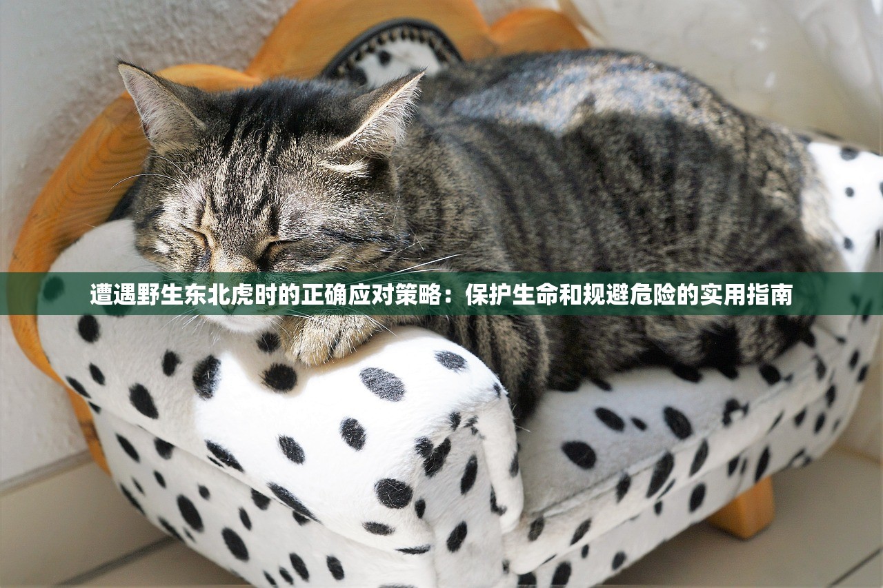 游戏爱好者困惑：热门网络游戏'封仙之怒'为何突然下架，玩家需如何处理已投入的资金和时间？