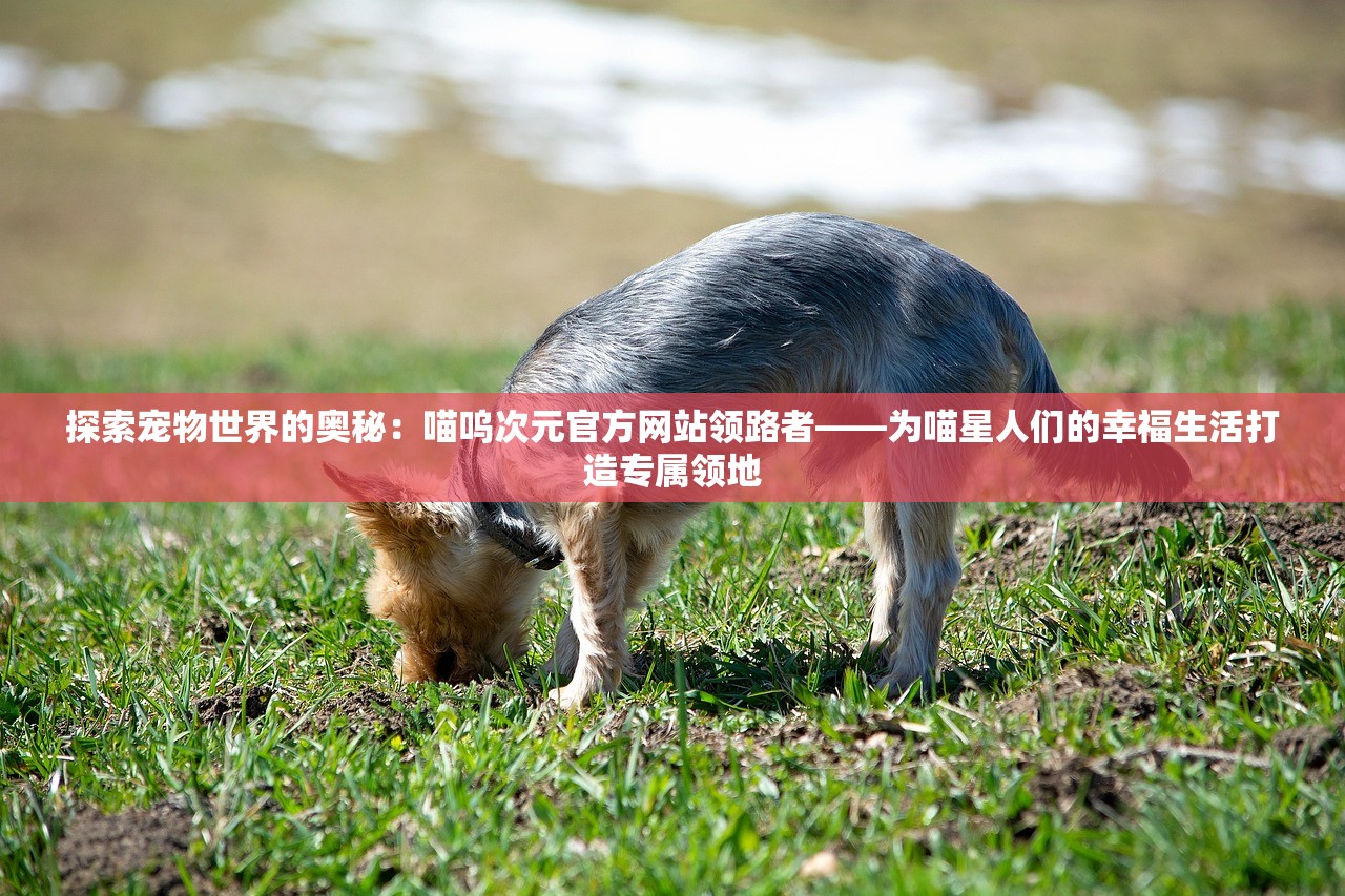 2024年新的毒株叫什么|广泛的解释落实方法分析_冒险版.2.411