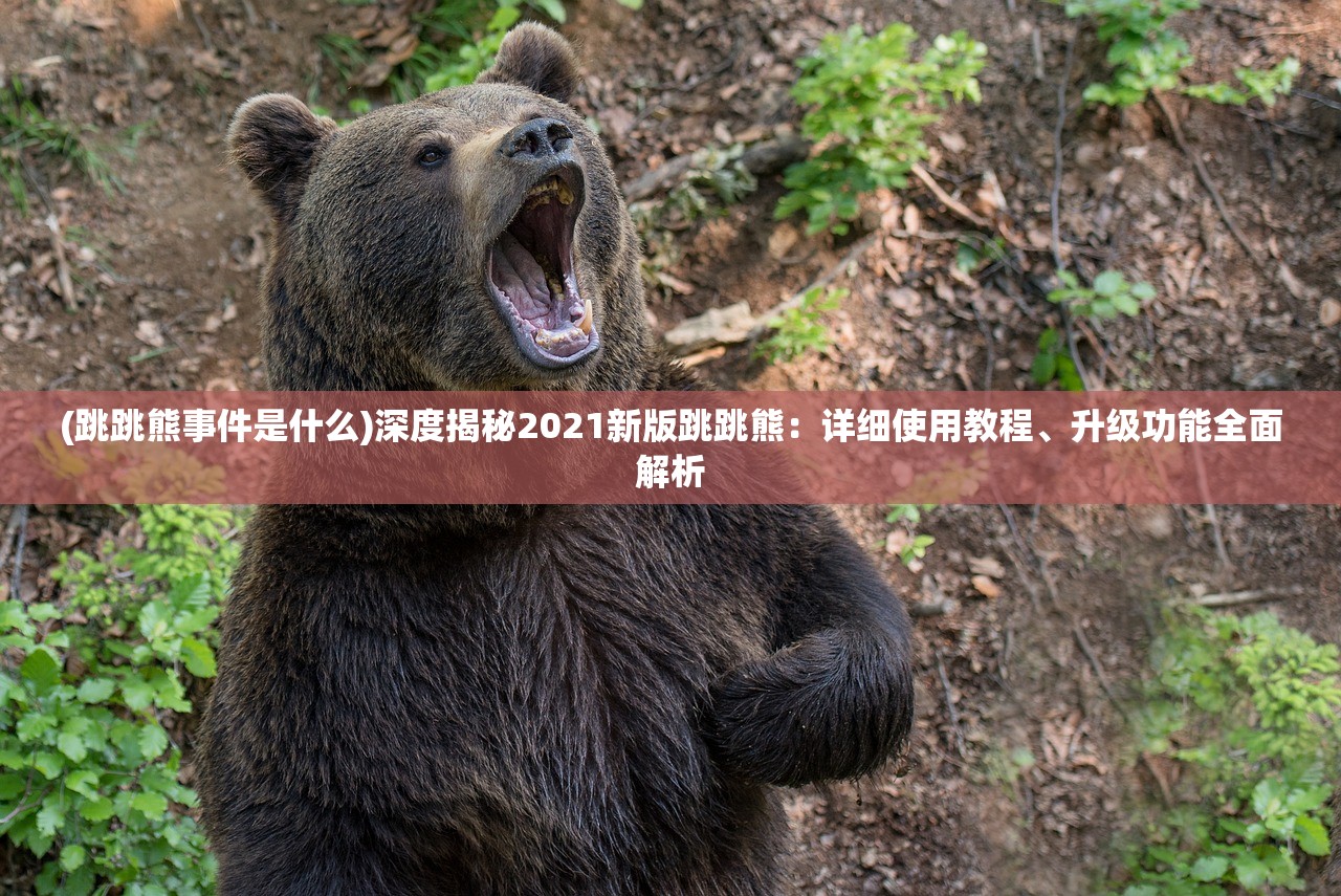 新澳2024今晚王中王免费资料|定量解答解释落实_精简版IOS.6.41