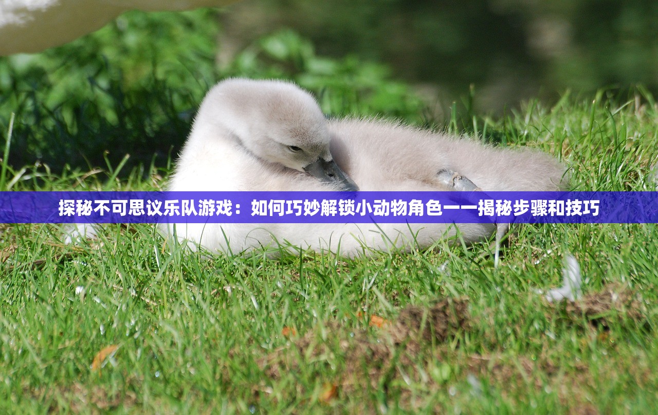 探秘不可思议乐队游戏：如何巧妙解锁小动物角色一一揭秘步骤和技巧
