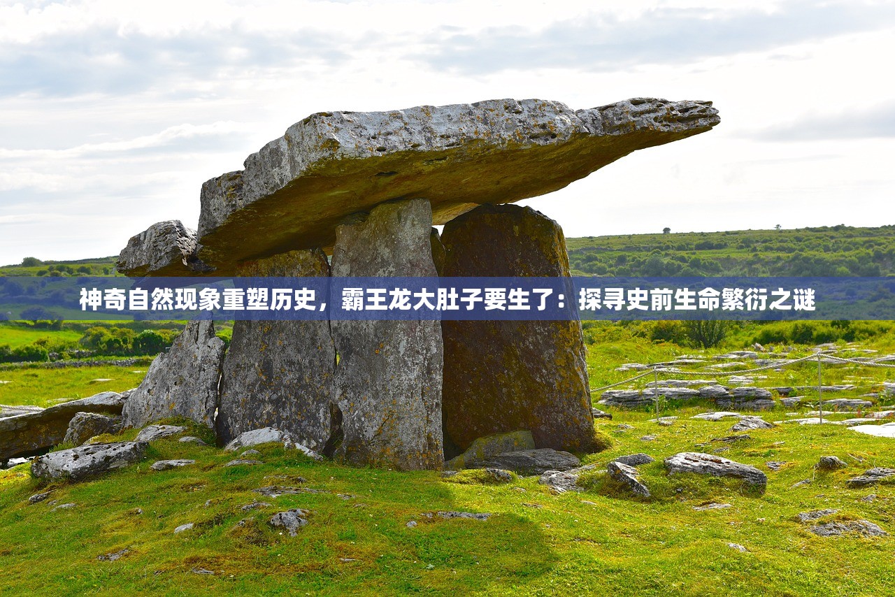 神奇自然现象重塑历史，霸王龙大肚子要生了：探寻史前生命繁衍之谜
