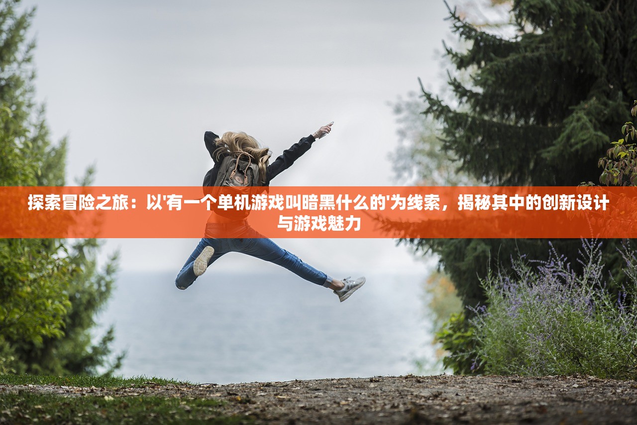探索冒险之旅：以'有一个单机游戏叫暗黑什么的'为线索，揭秘其中的创新设计与游戏魅力