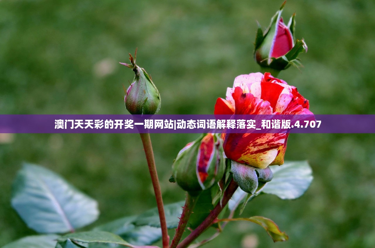 澳门天天彩的开奖一期网站|动态词语解释落实_和谐版.4.707