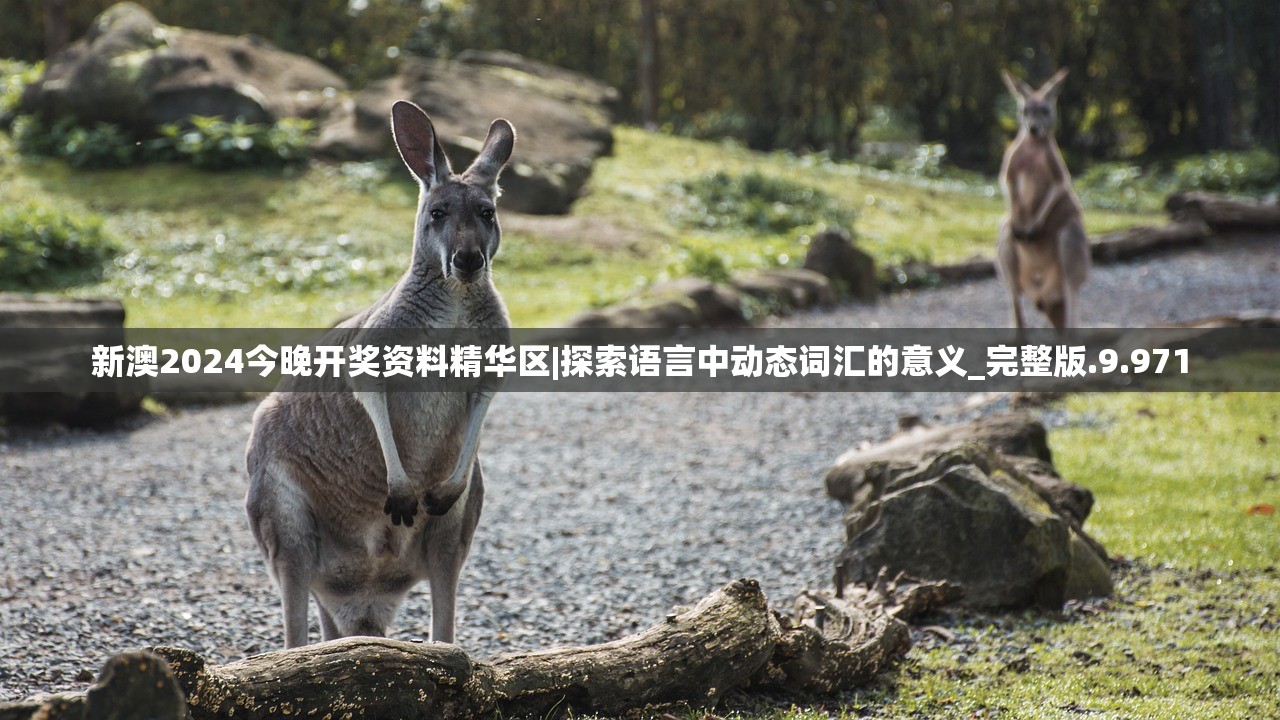 (无序之路内置作弊菜单下载)无序之路，内置作弊菜单的深度解析与探讨