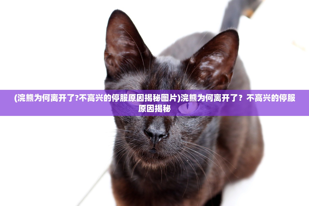 (浣熊为何离开了?不高兴的停服原因揭秘图片)浣熊为何离开了？不高兴的停服原因揭秘
