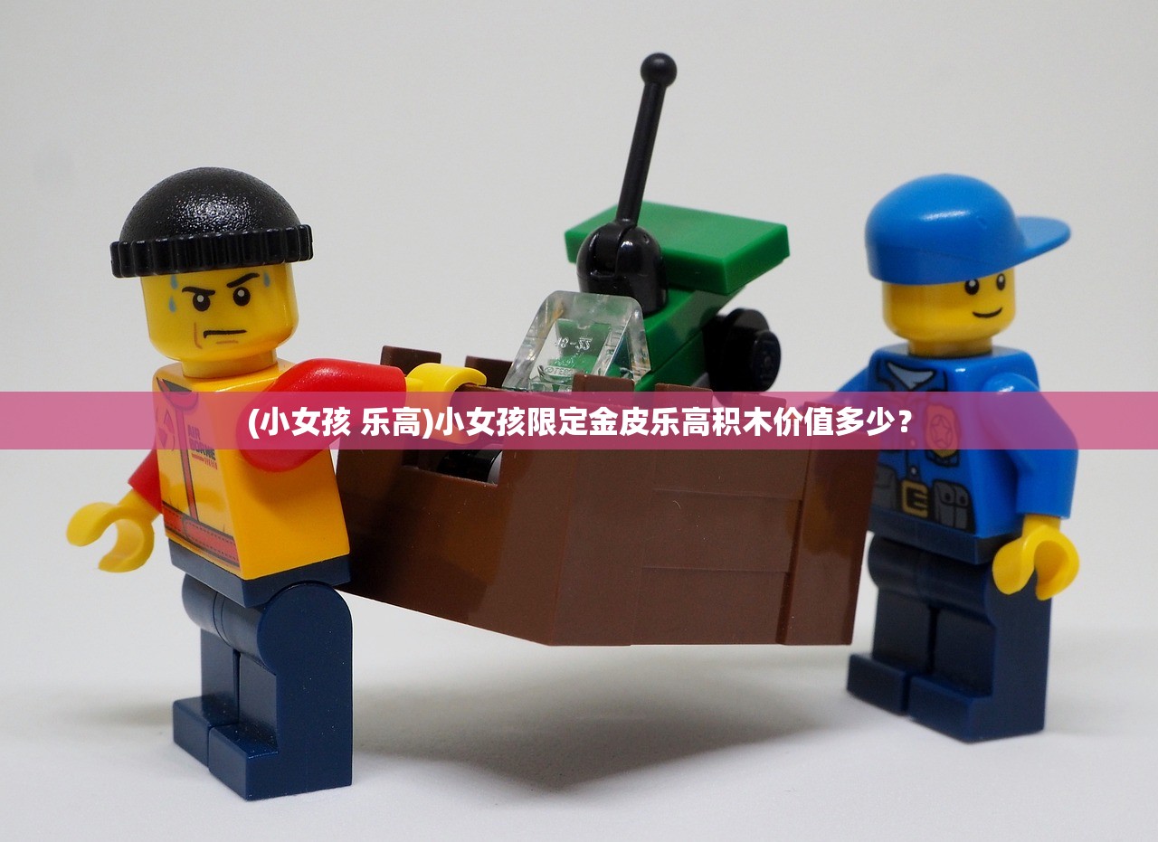 (小女孩 乐高)小女孩限定金皮乐高积木价值多少？