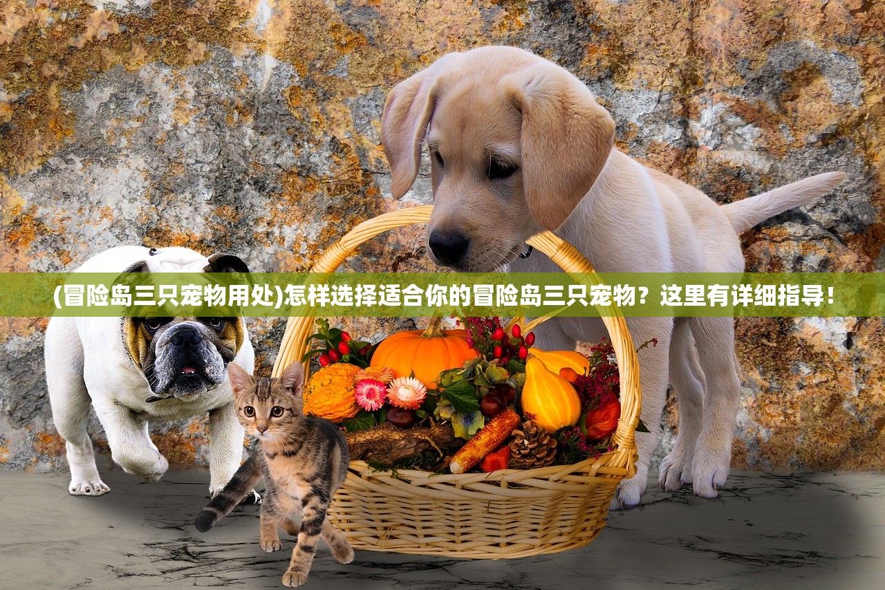 (冒险岛三只宠物用处)怎样选择适合你的冒险岛三只宠物？这里有详细指导！