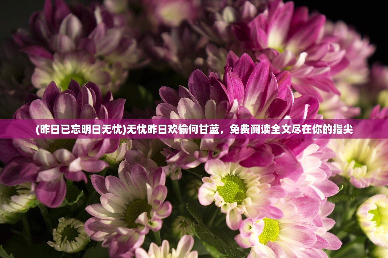 (昨日已忘明日无忧)无忧昨日欢愉何甘蓝，免费阅读全文尽在你的指尖