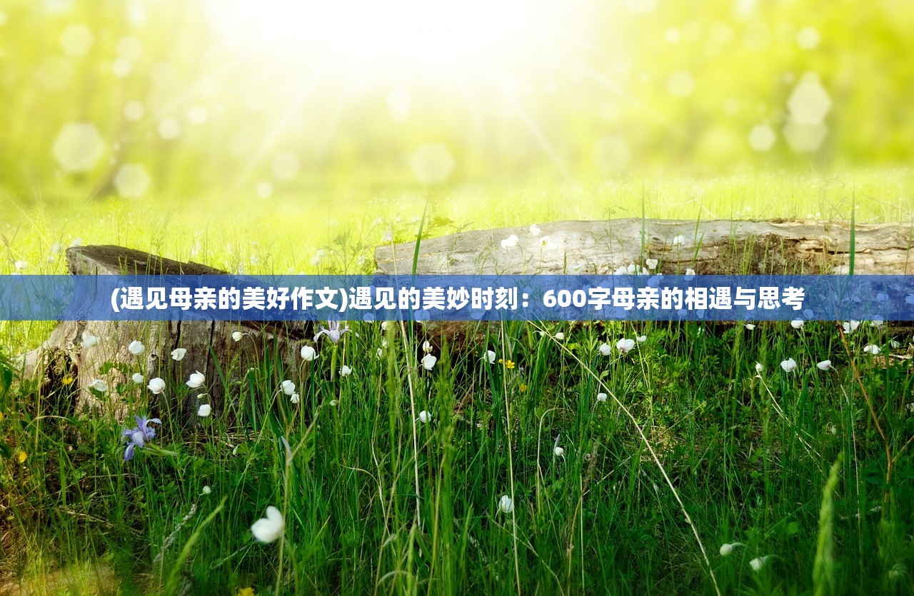 (遇见母亲的美好作文)遇见的美妙时刻：600字母亲的相遇与思考