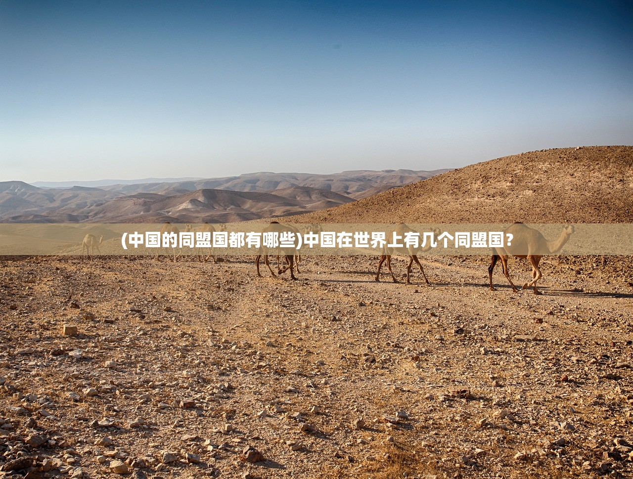 (中国的同盟国都有哪些)中国在世界上有几个同盟国？