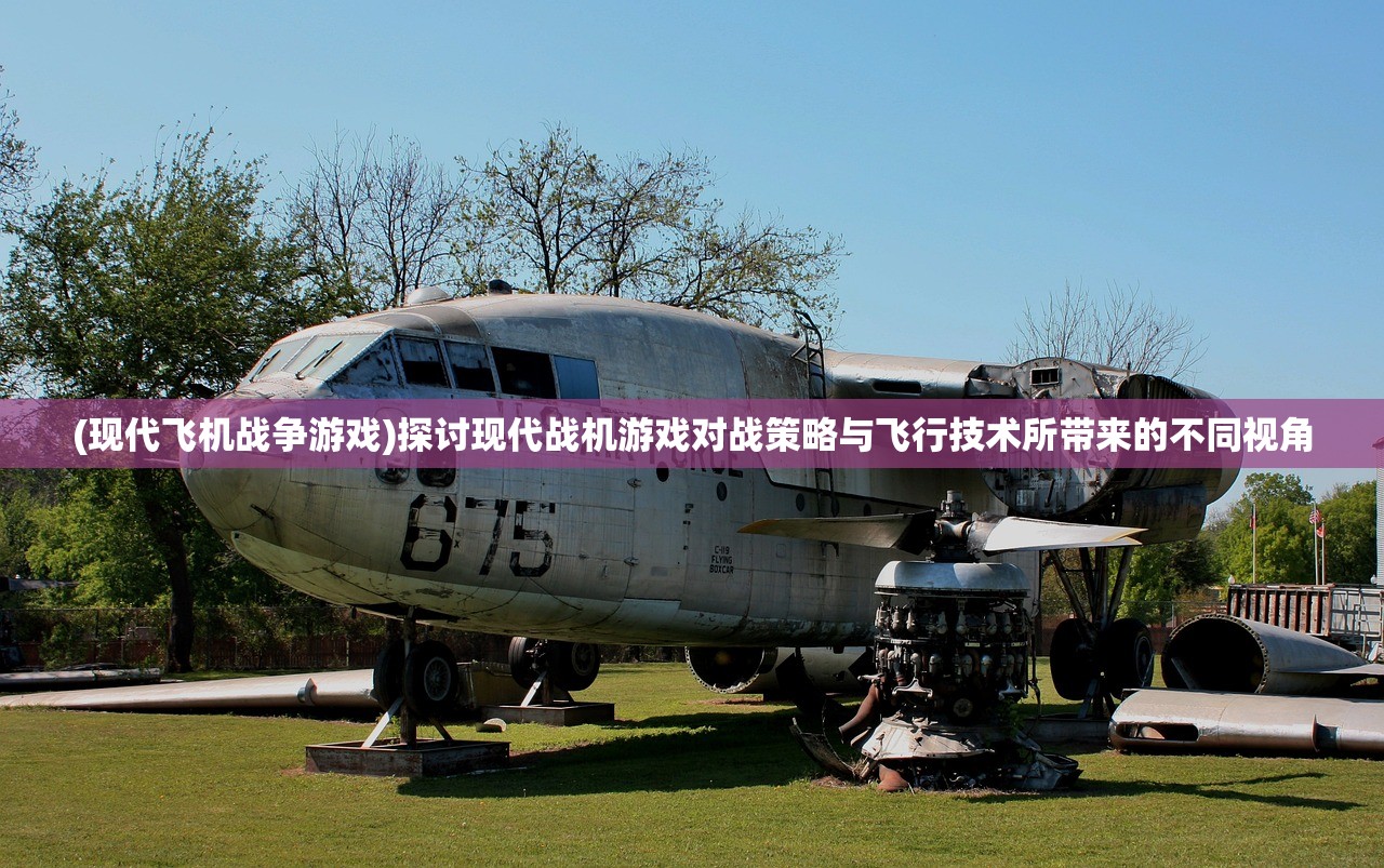 (现代飞机战争游戏)探讨现代战机游戏对战策略与飞行技术所带来的不同视角