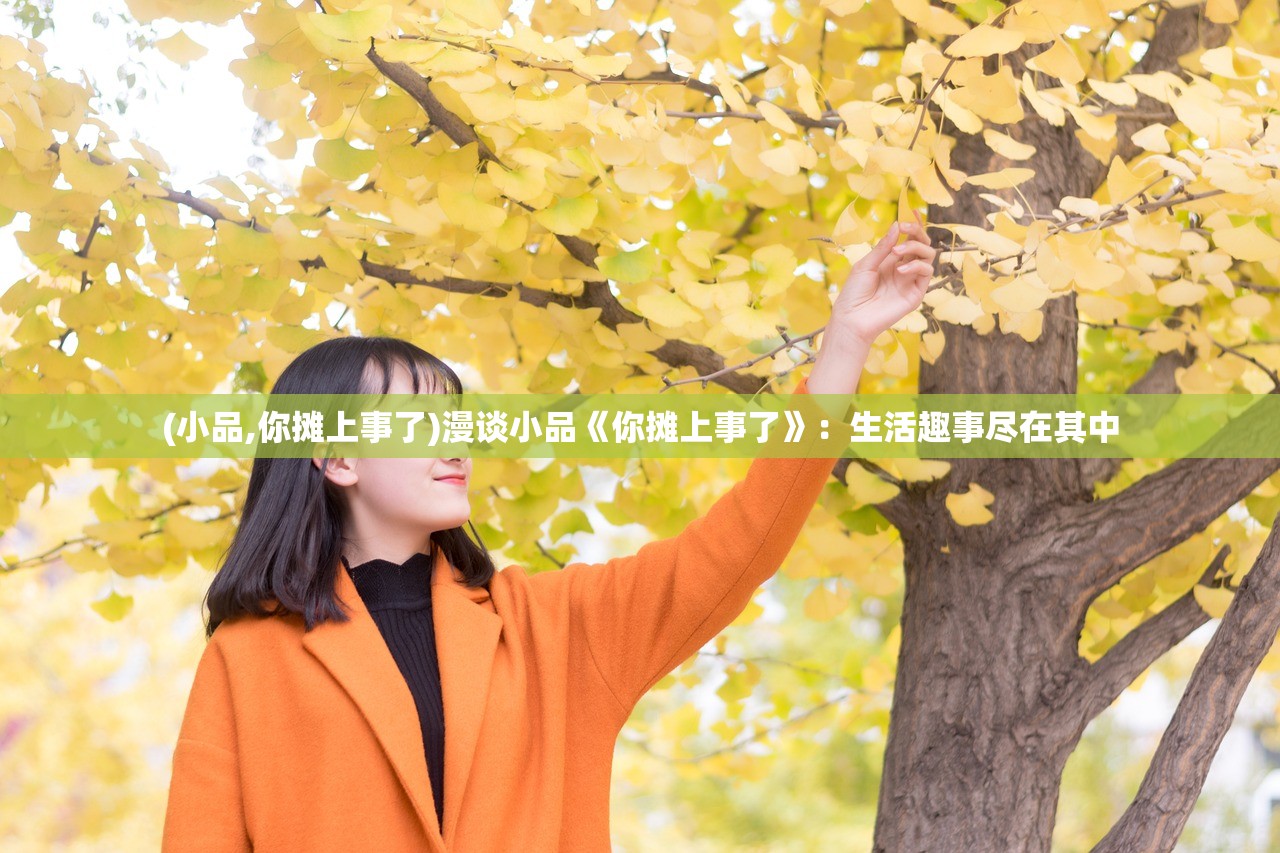 (小品,你摊上事了)漫谈小品《你摊上事了》：生活趣事尽在其中