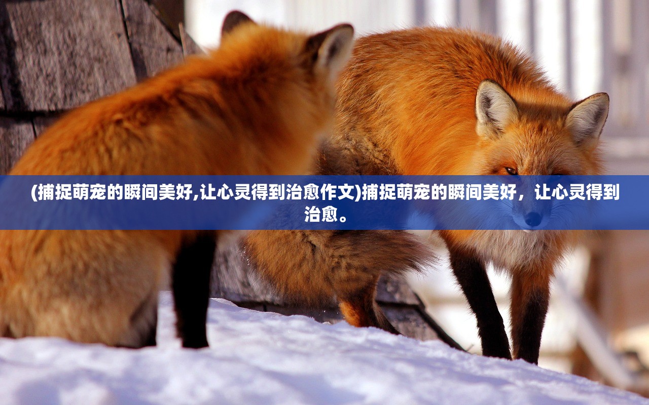 (乱世江湖折扣平台)乱煮江湖，折扣充值攻略揭秘