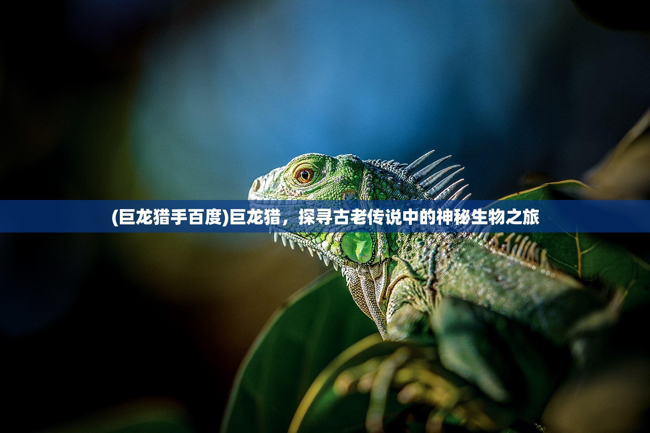 (富豪闯三国角色排行)富豪闯三国，探寻最强角色