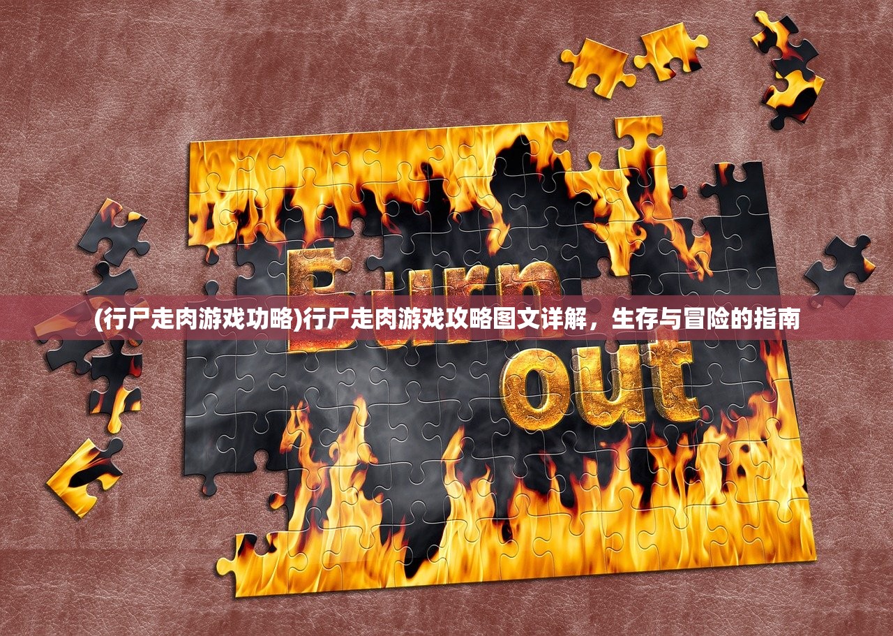 (侍忍者攻略英雄秘技)侍忍者攻略，游戏指南与常见问题解答