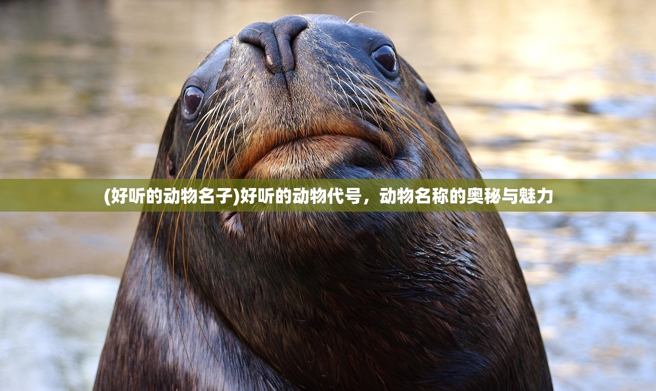 (诛仙小白漫画结局)诛仙小白漫画，传统与现代的完美结合