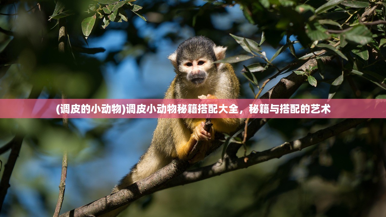 (王者世界现在改名叫啥英雄)王者世界的新名称，探寻改变的背后与多元的游戏世界