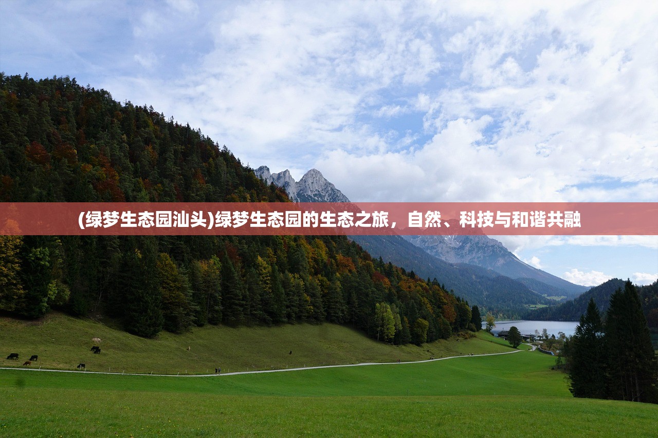 (宝石研物语好玩吗)宝石研物语停运深度解析，原因何在？