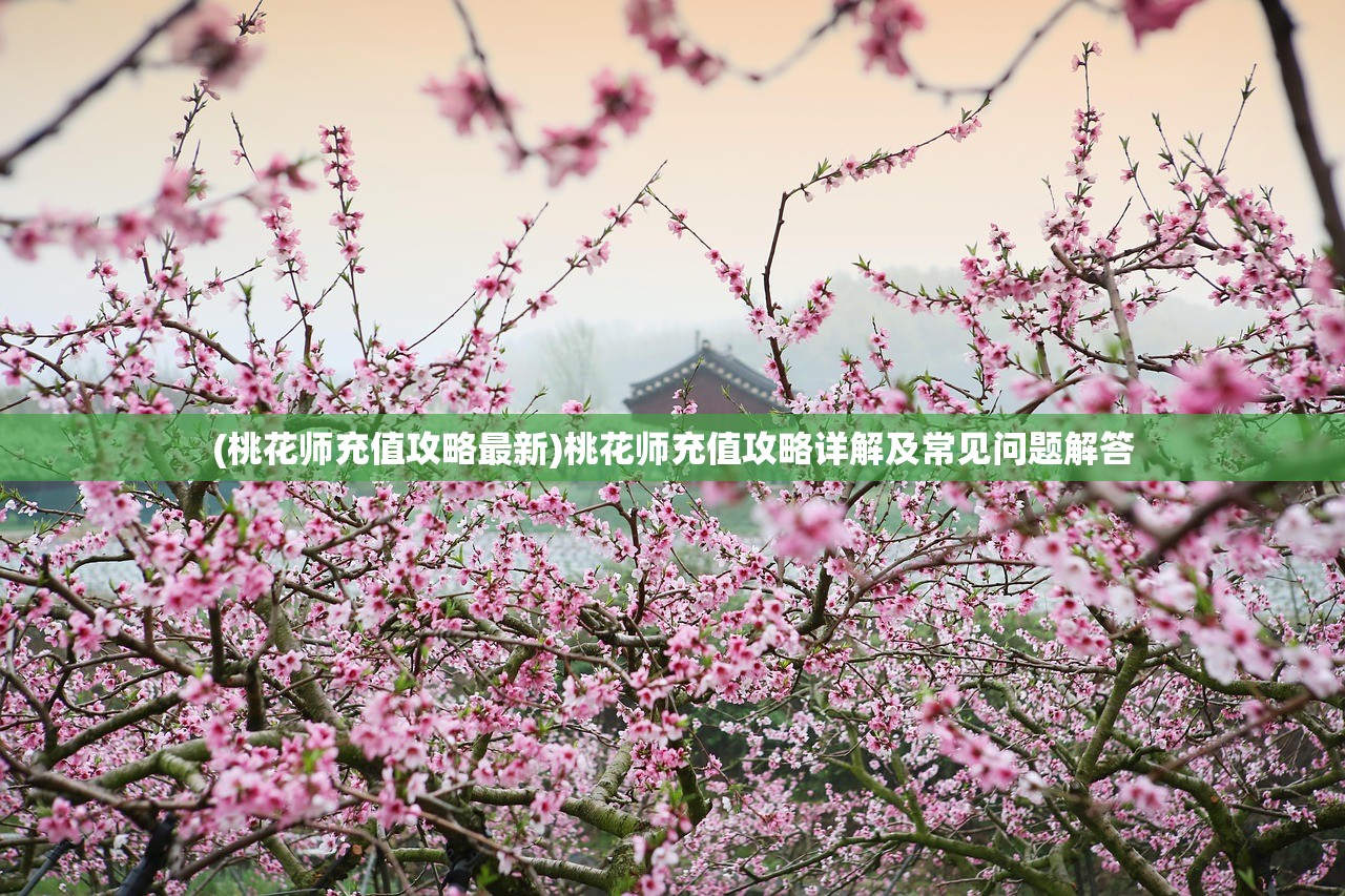 (桃花师充值攻略最新)桃花师充值攻略详解及常见问题解答
