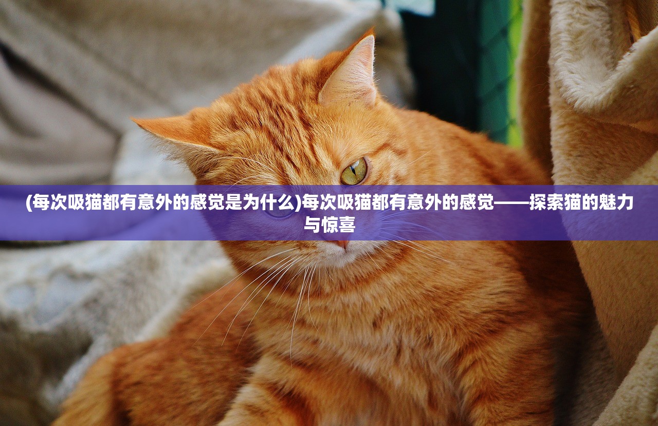 (宅怨通关攻略二章)宅怨游戏通关攻略详解及常见问题解答