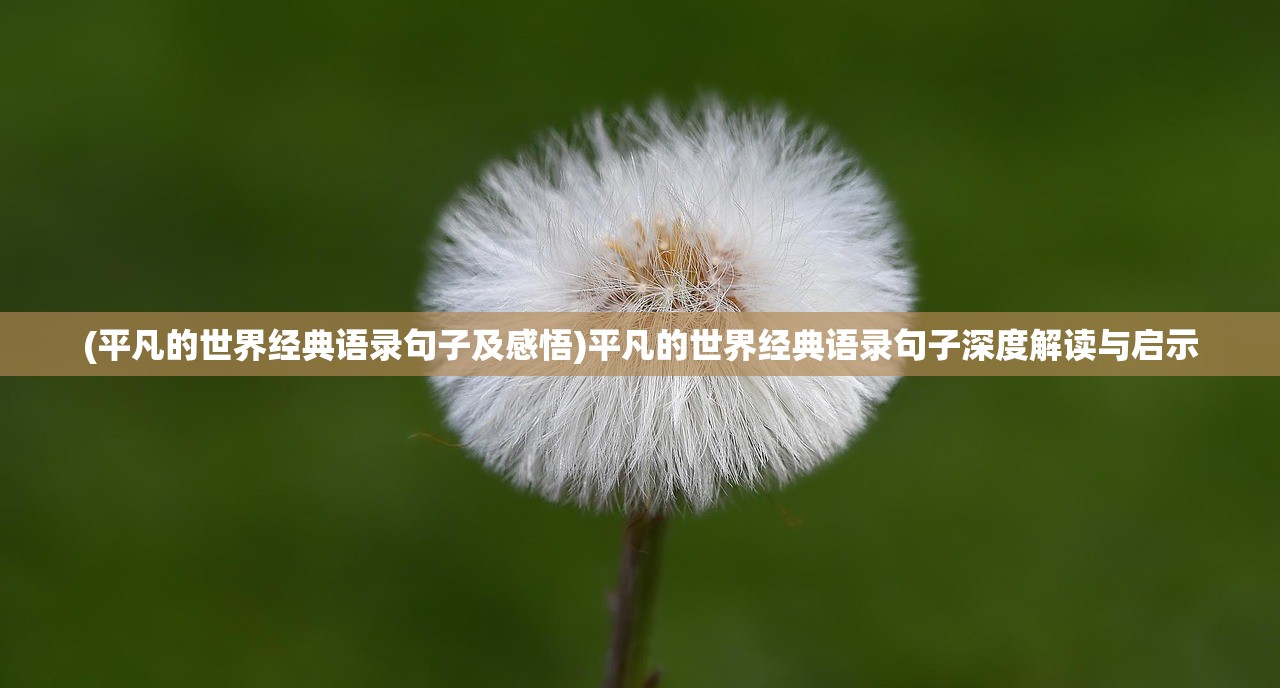 (女神联盟契约阵容搭配推荐)老版女神联盟契约漏洞深度解析与应对策略