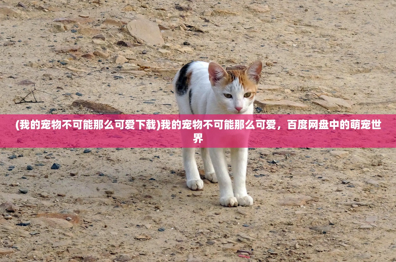 (洪荒归零免广告版下载)洪荒归零，免广告攻略及全面解析