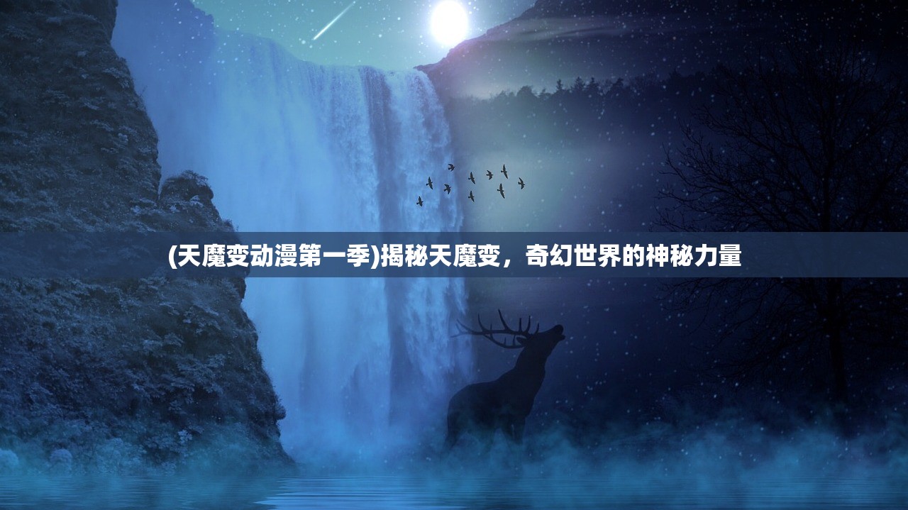 (黑猫奇闻社第一章地铁四号线攻略)黑猫奇闻社，地铁四号线的神秘第一章