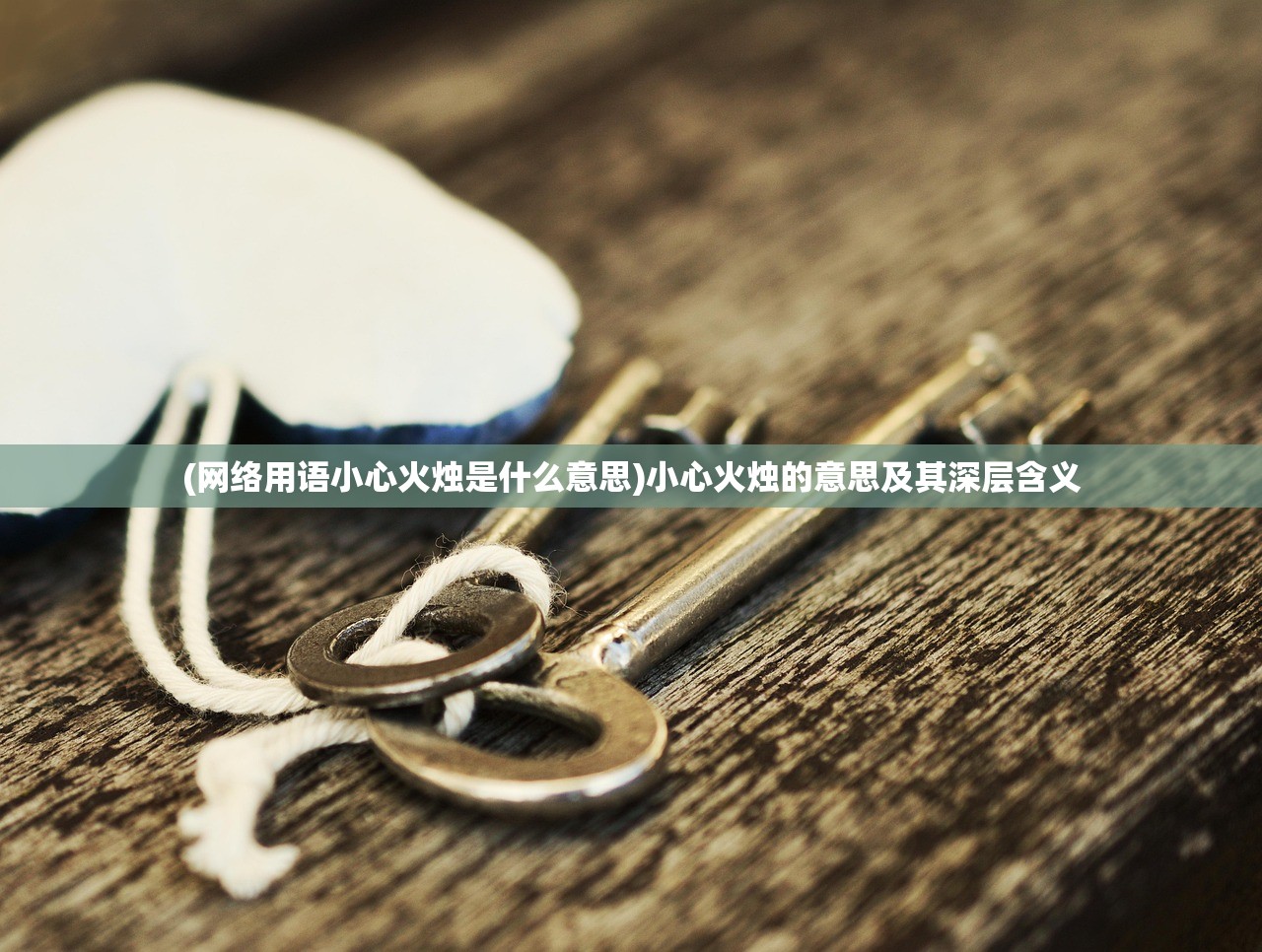 (游戏繁花似锦好玩吗)繁花似锦手游的绘画大师与游戏背后的故事