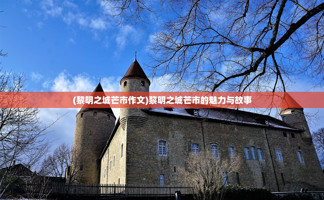 (勇者大作战最佳阵容)勇者大作战最强阵容推荐及策略分析