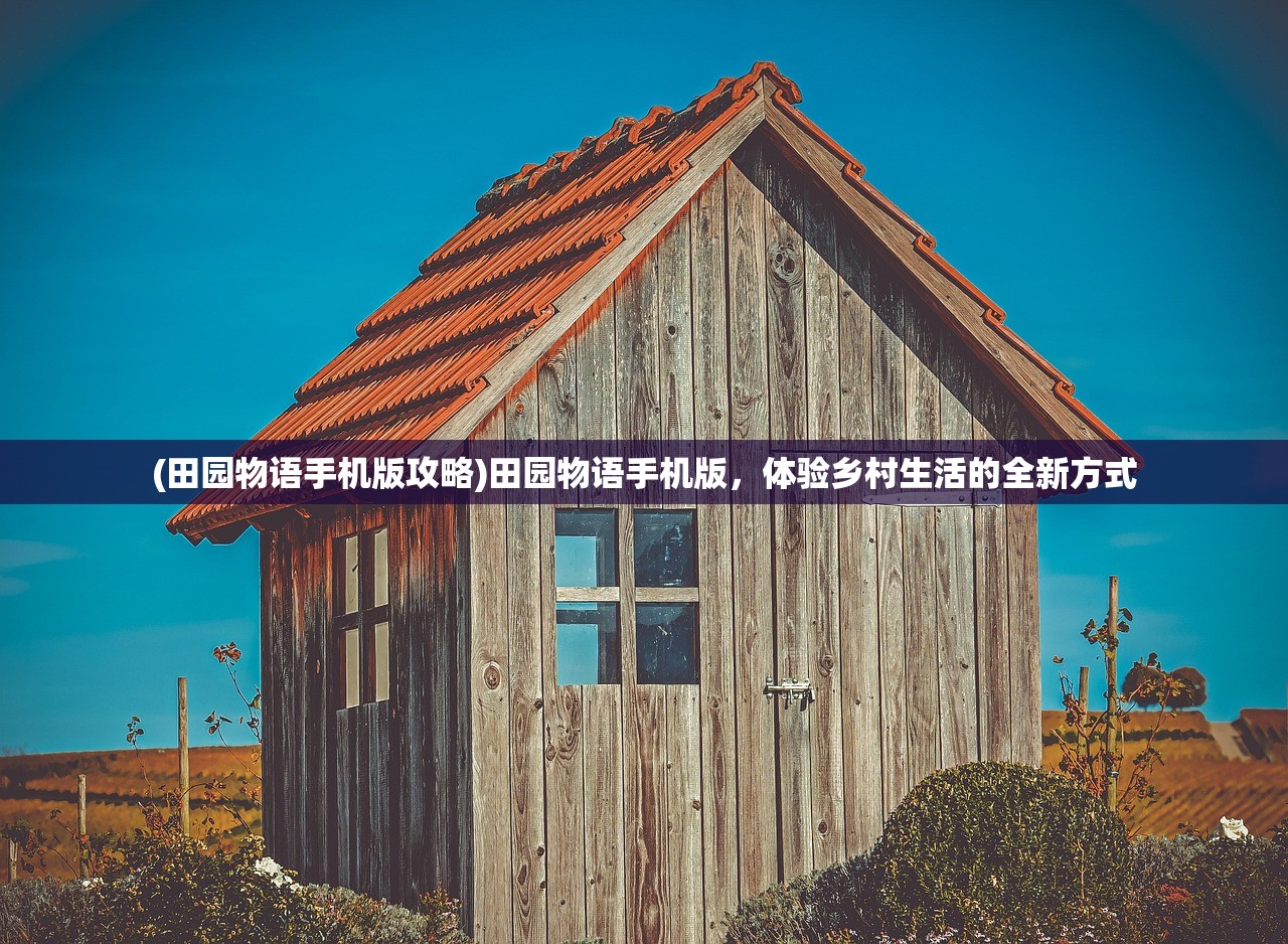 (黎明特首)黎明特攻队，揭秘英雄团队的崛起与挑战