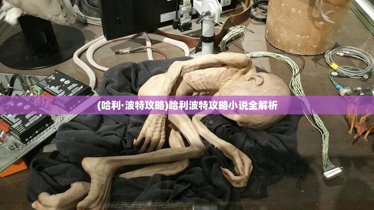 (哈利·波特攻略)哈利波特攻略小说全解析