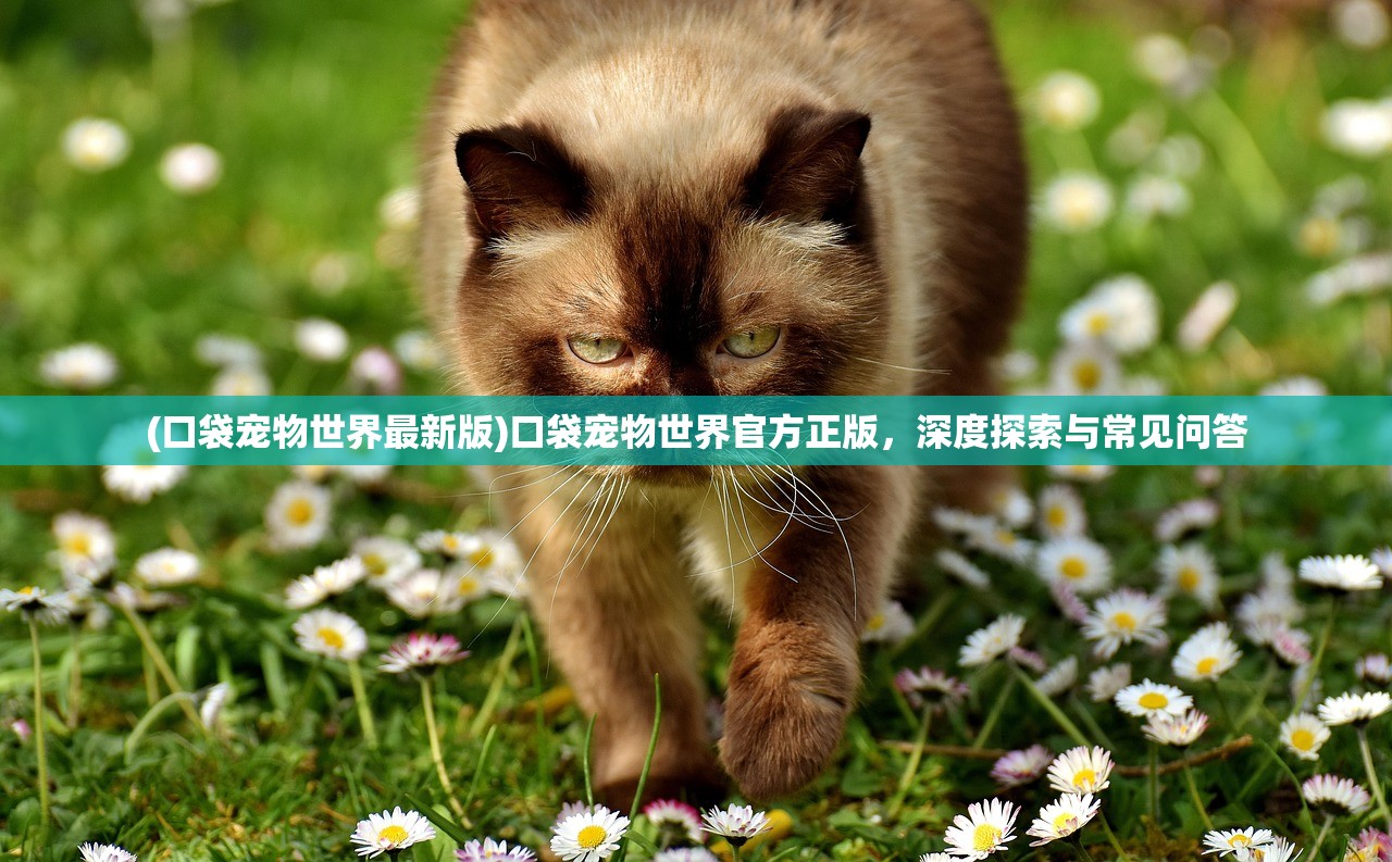 (口袋宠物世界最新版)口袋宠物世界官方正版，深度探索与常见问答